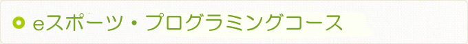 e-スポーツ・プログラミングコース