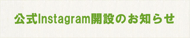 インスタグラム