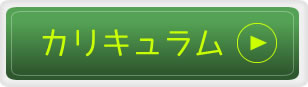 カリキュラム